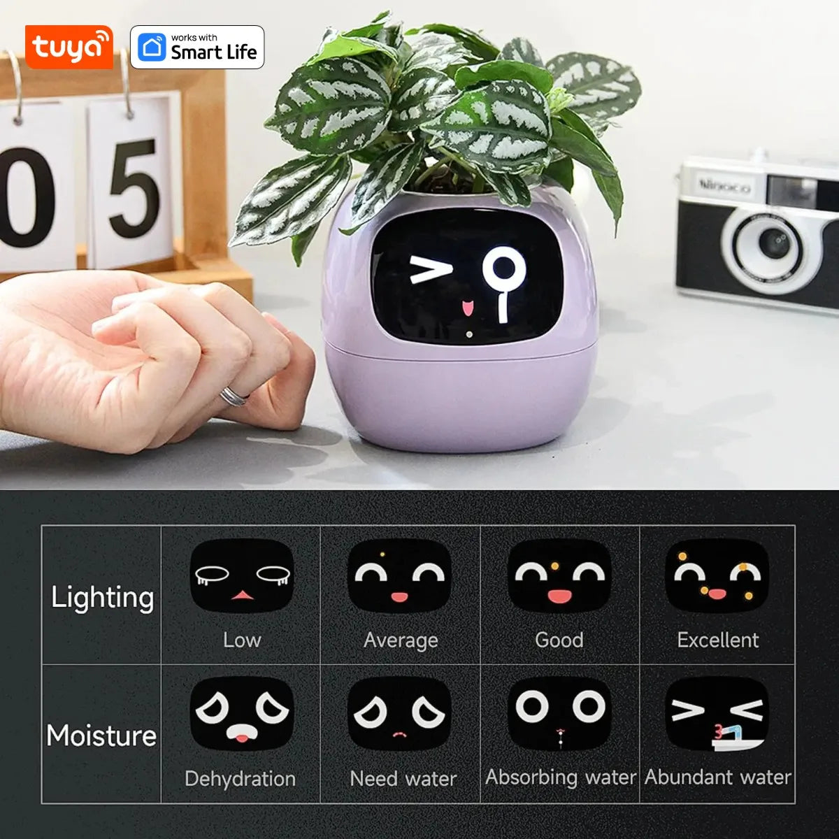AI Smart Planter ā Fun & Easy Plant Care