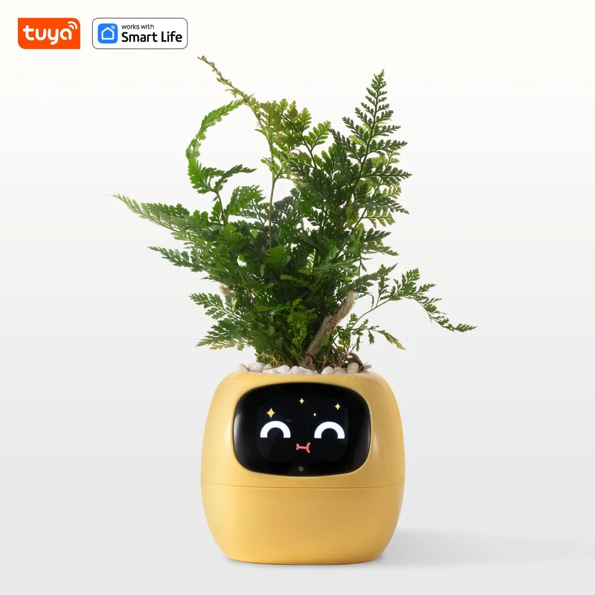 AI Smart Planter ā Fun & Easy Plant Care