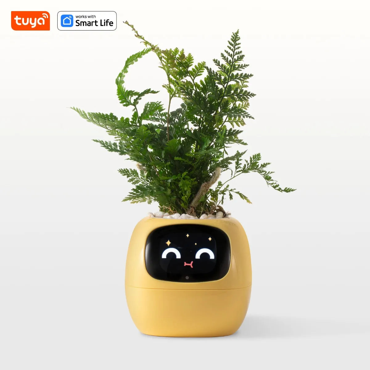 AI Smart Planter ā Fun & Easy Plant Care